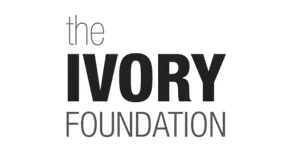 ivory foundation