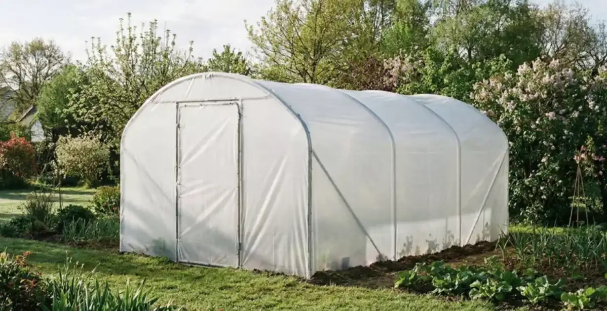 Serre tunnel : La solution accessible et performante pour booster vos cultures