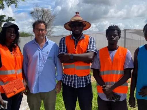 Darou Mbodj région de Thiés