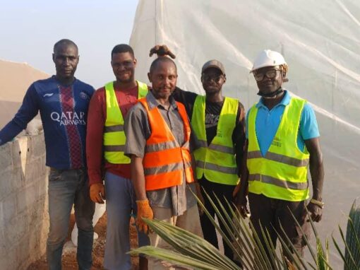 Serre agricole en Guinée