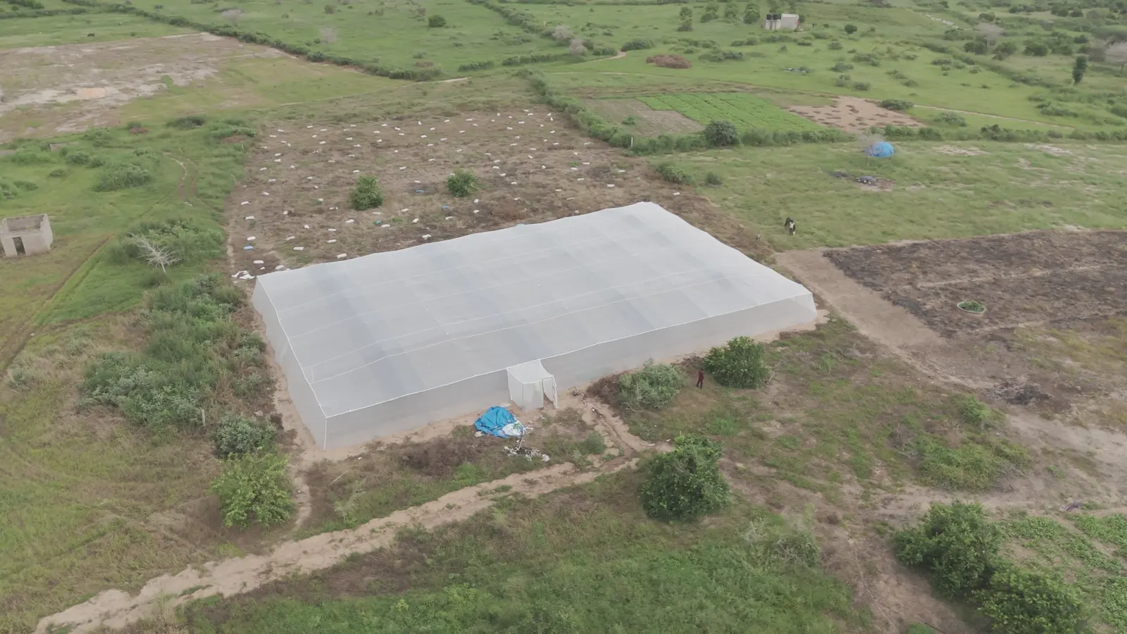 Serre Sunumbaye vue du ciel, chantier de Mboro