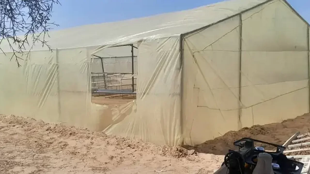 Serre de séchage
